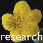 my research interests